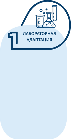 Лабораторная адаптация